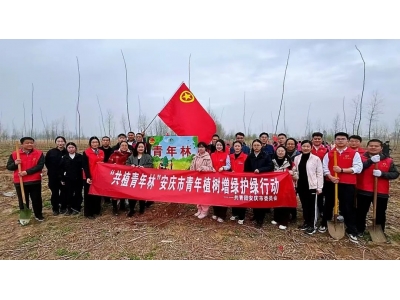 团市委引领青春力量参与春季义务植